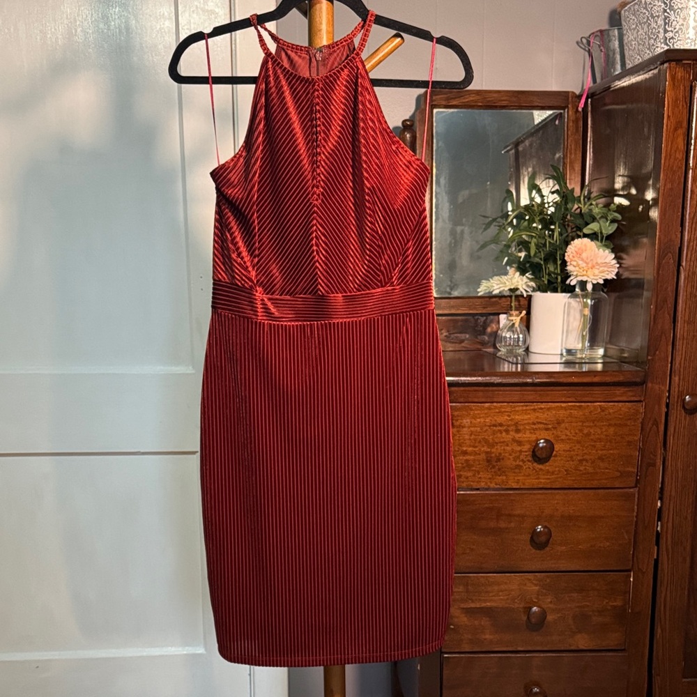 🤎 Dynamite Burnt Orange Velvet Midi Dress — Size M - Picture 3 of 7